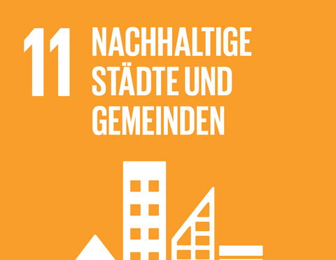 SDG 11