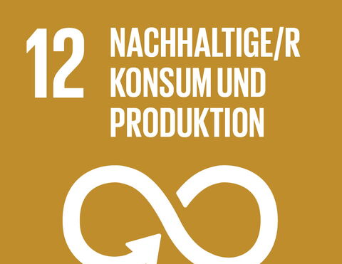 SDG 12