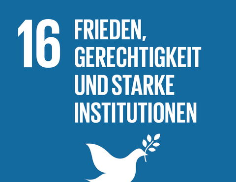SDG 16