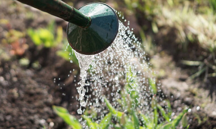 Dies ist der ALT-Text