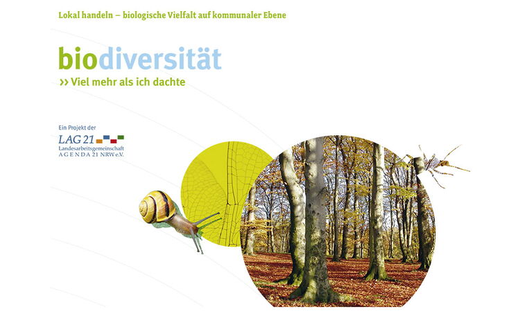 Dies ist der ALT-Text