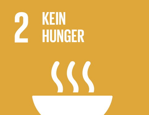SDG 2