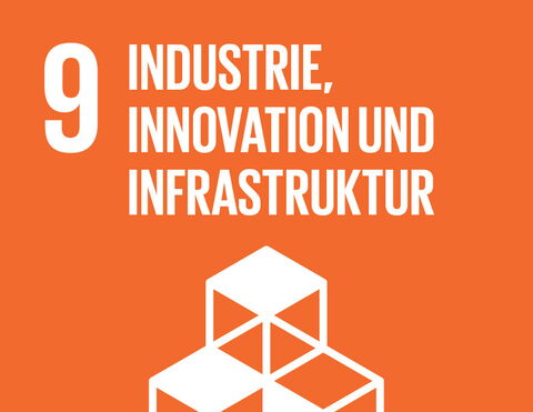 SDG 9