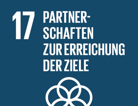 SDG 17