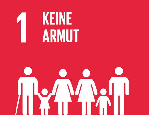 SDG 1