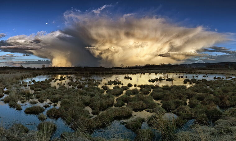 Dies ist der ALT-Text