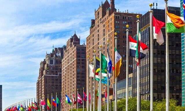 Vereinte Nationen