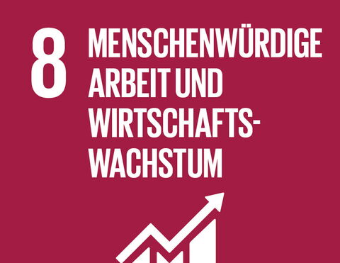 SDG 8