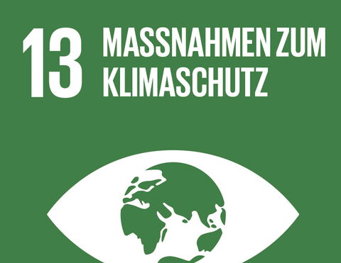 SDG 13