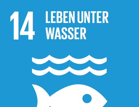 SDG 14